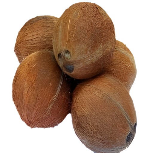 Coconut Dry 1 LBS
