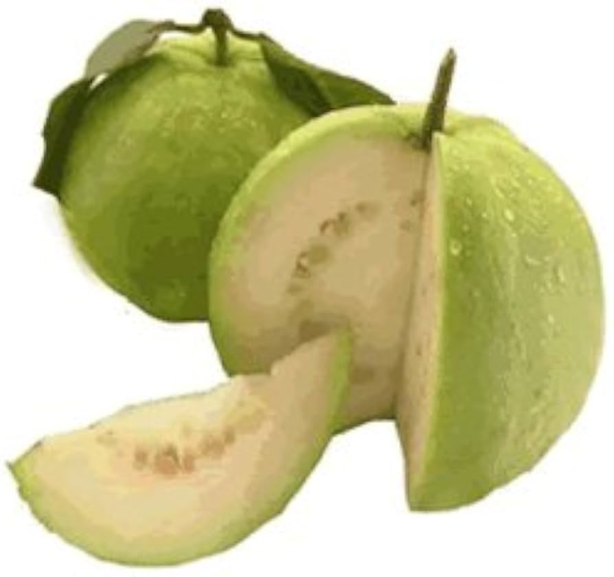 GUAVA (THAI) 1 LBS