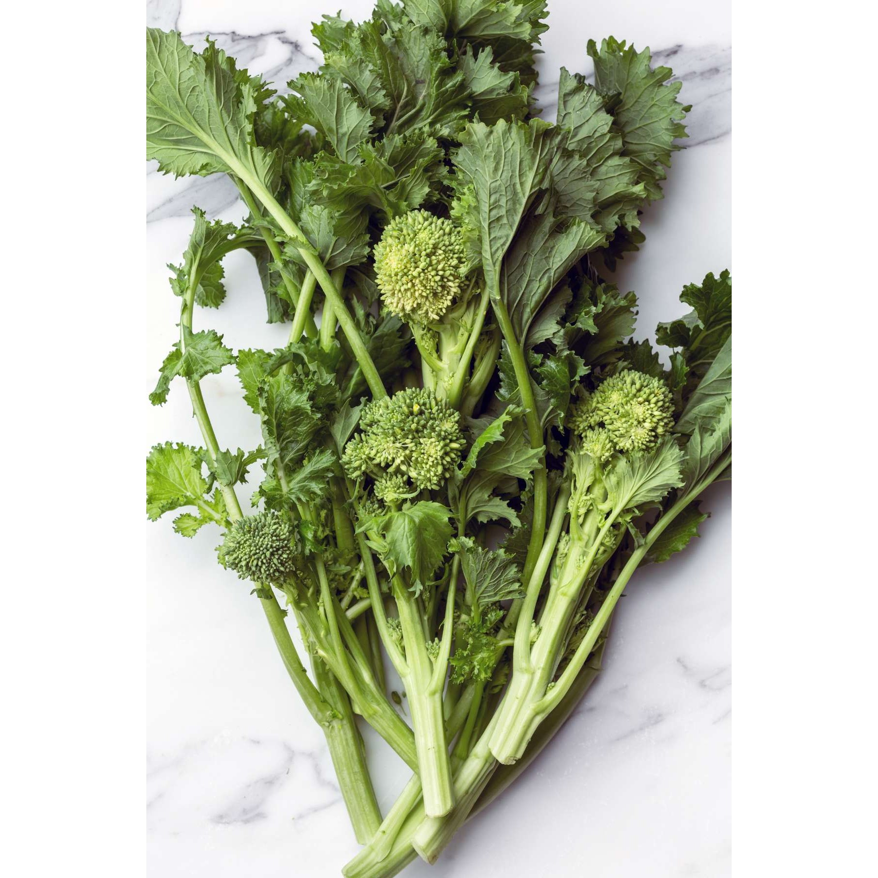 Rapini 1 LBS