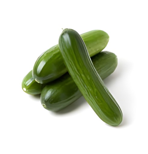 PERSIAN CUCUMBER 1 LBS