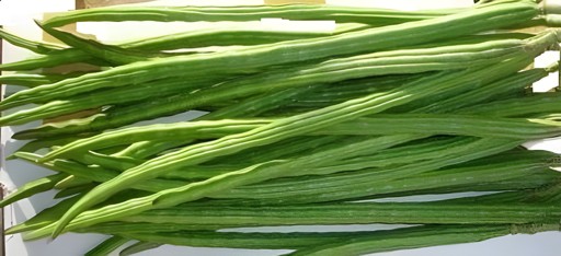 FRESH DRUMSTICKS 1 LBS