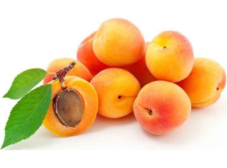APRICOT RUBY 1 LBS