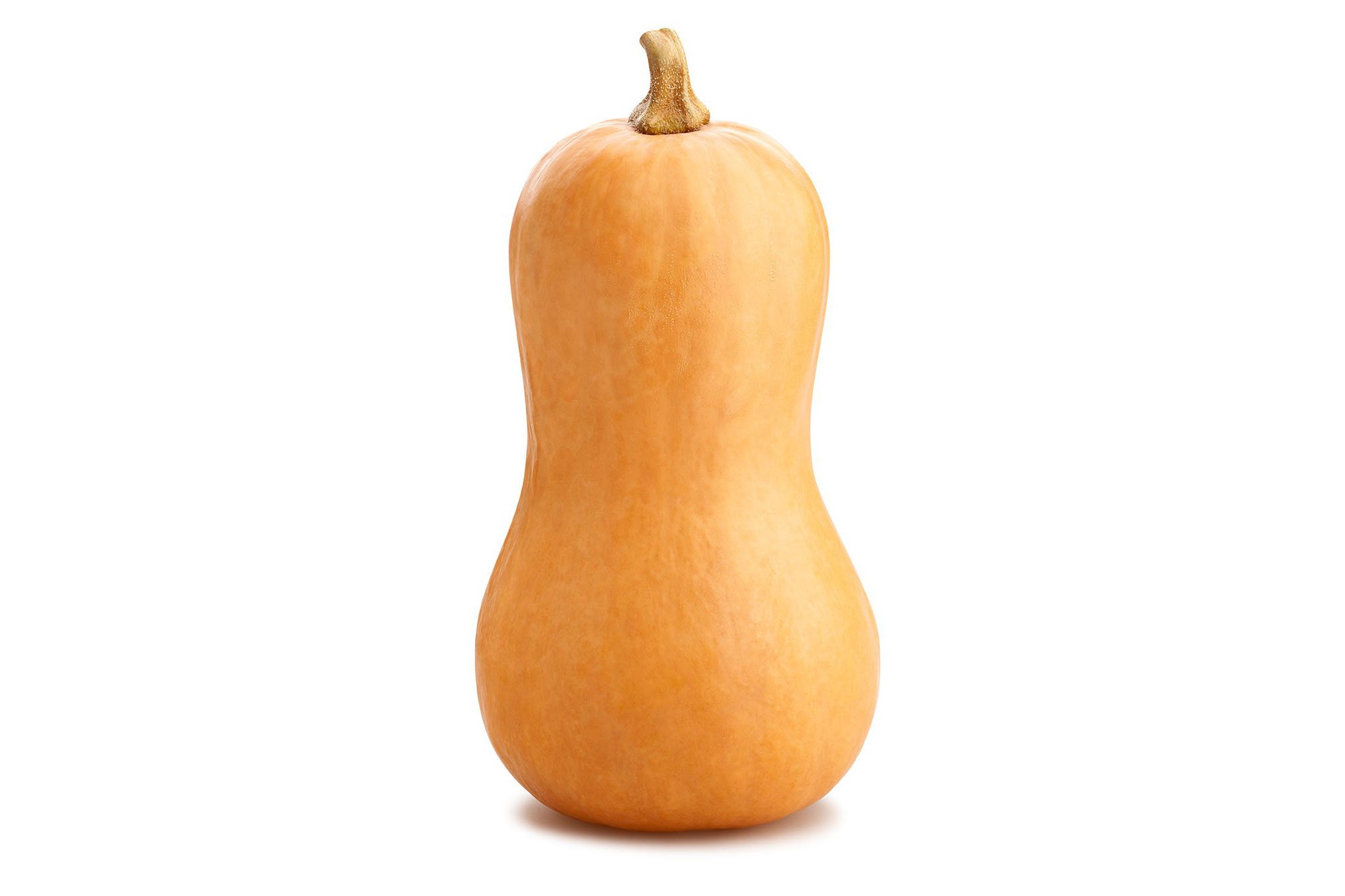 BUTTER SQUASH 1 LBS
