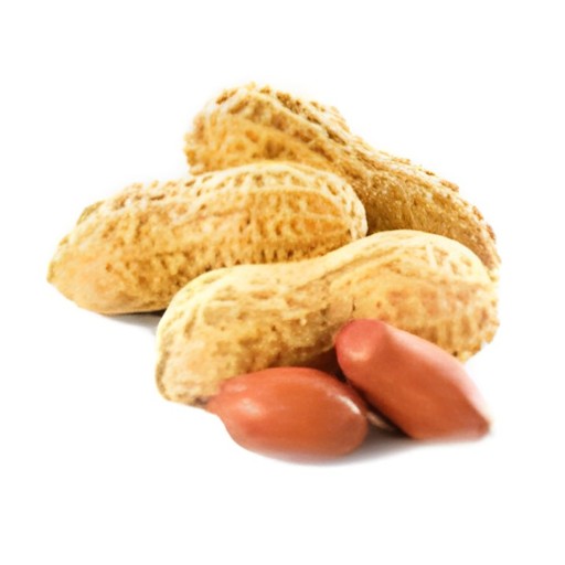 PEANUT FRESH 1 LBS