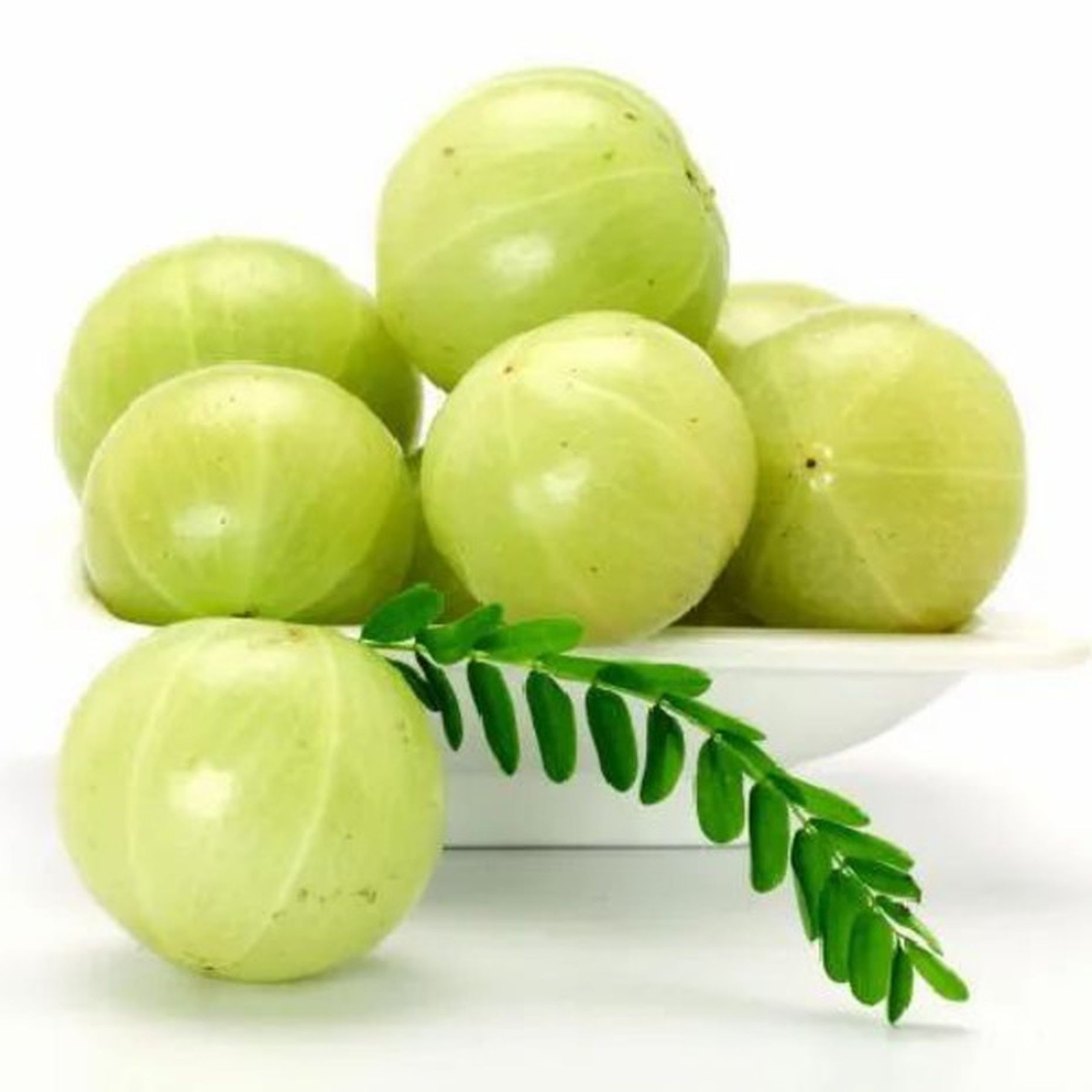 OKRA PER LB (INDIAN) 1 LBS
