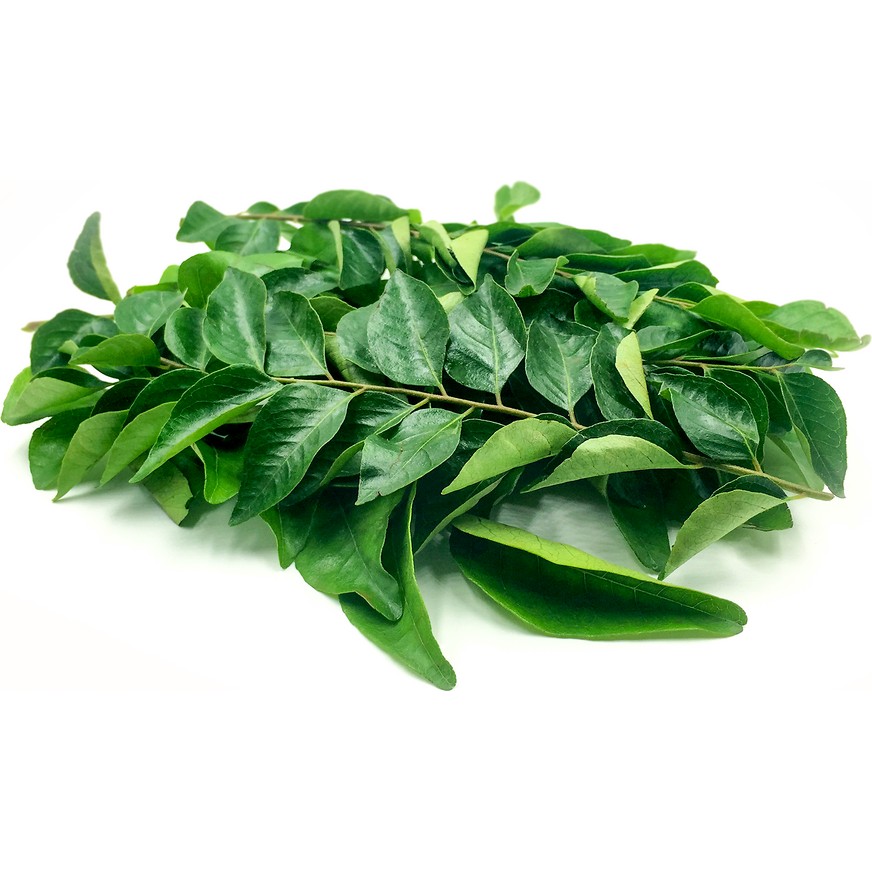 Curry Leaves (Curry Patta) 1 BAG
