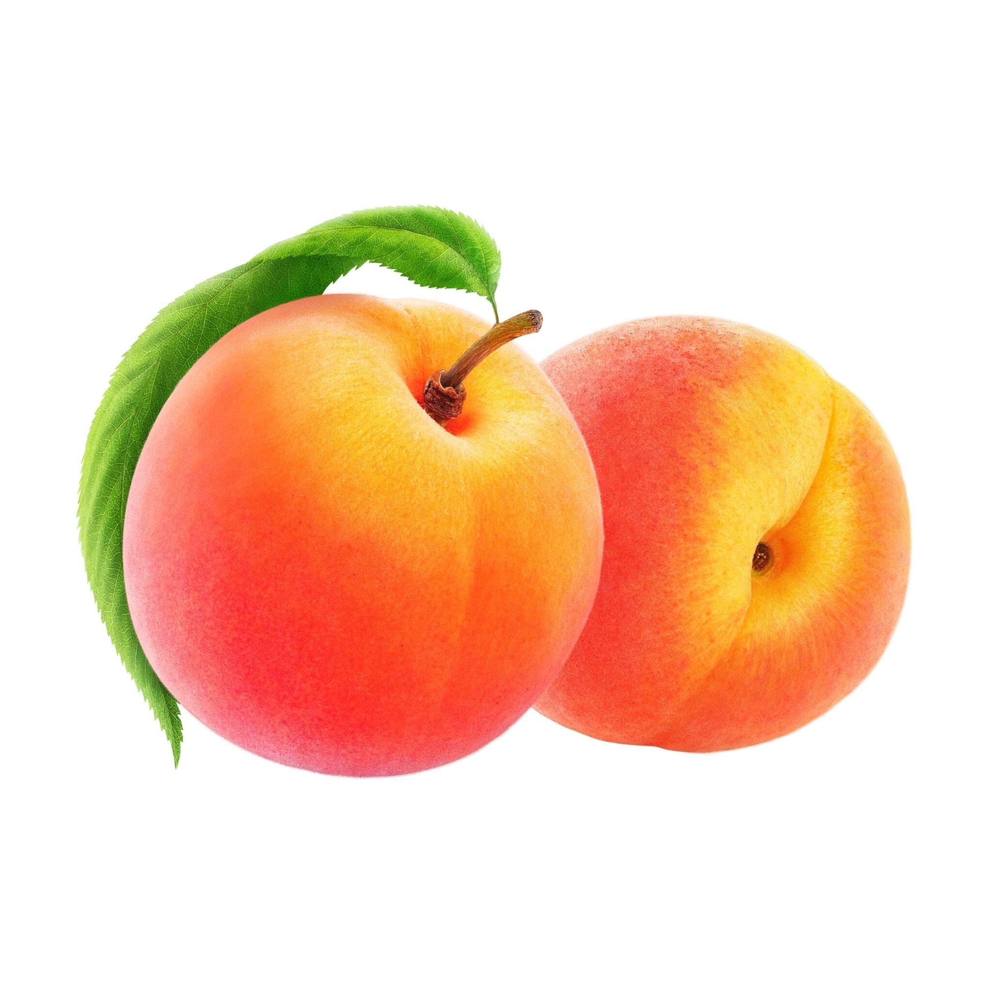 APRICOT PER LB 1 LBS