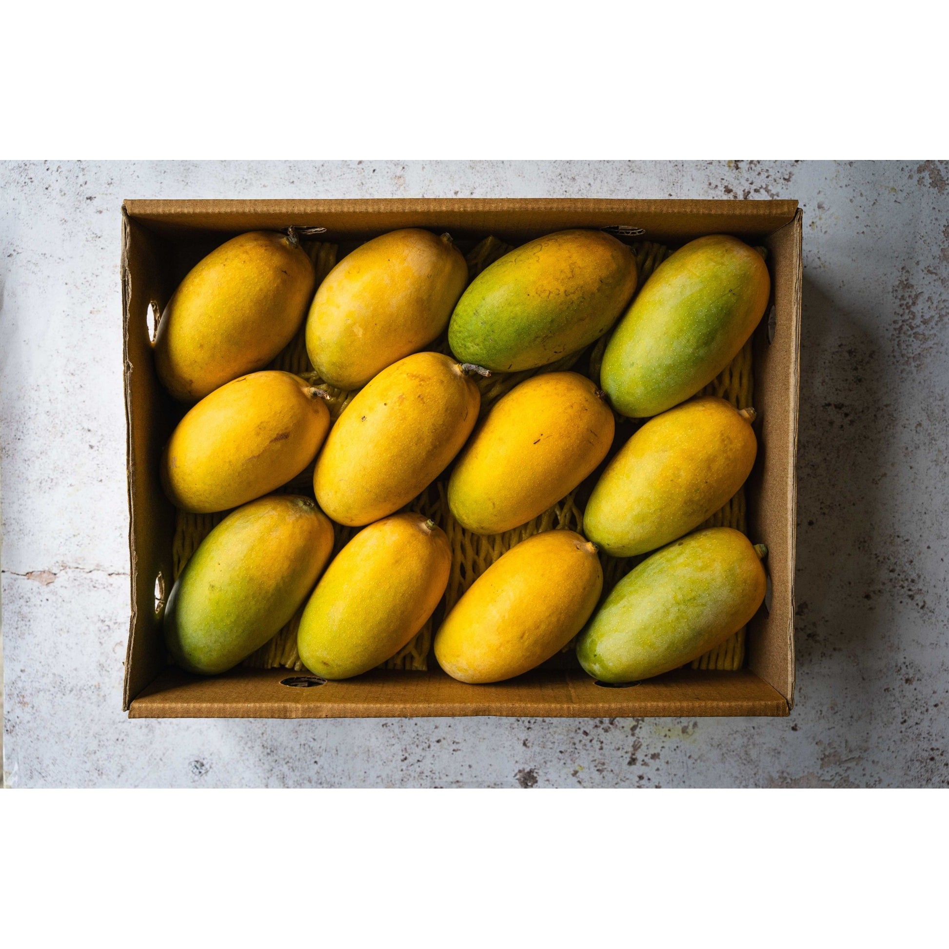 MANGO TOMMY 9 COUNT