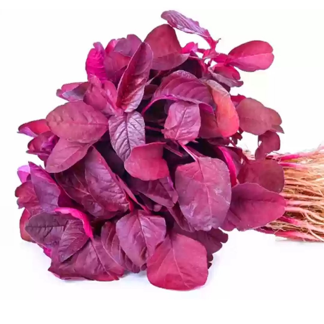 Red Saag