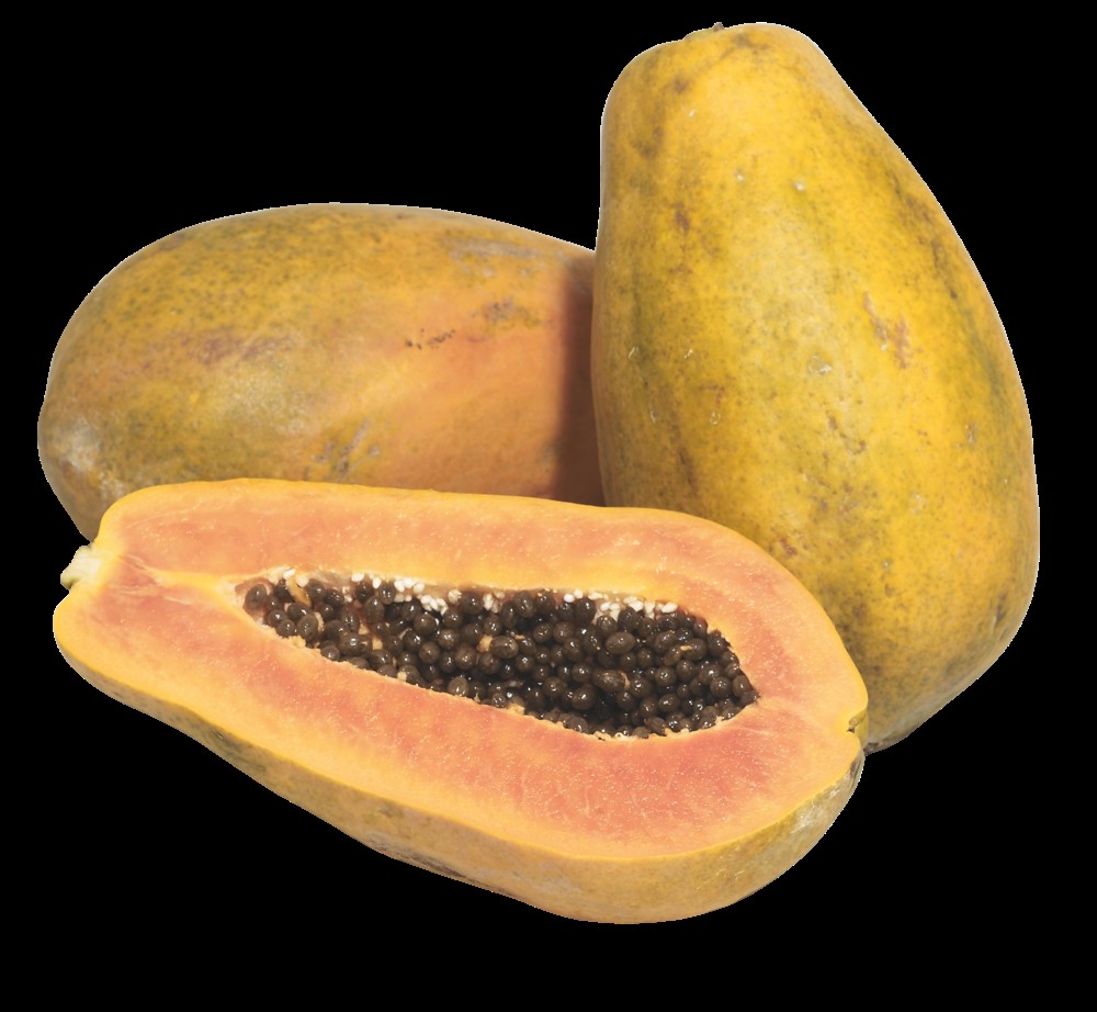 Papaya 1 LBS