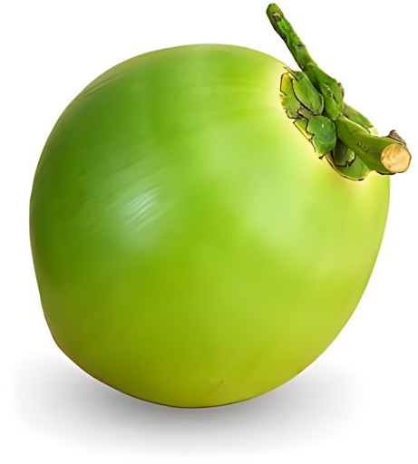 COCONUT REGULAR 1 LBS