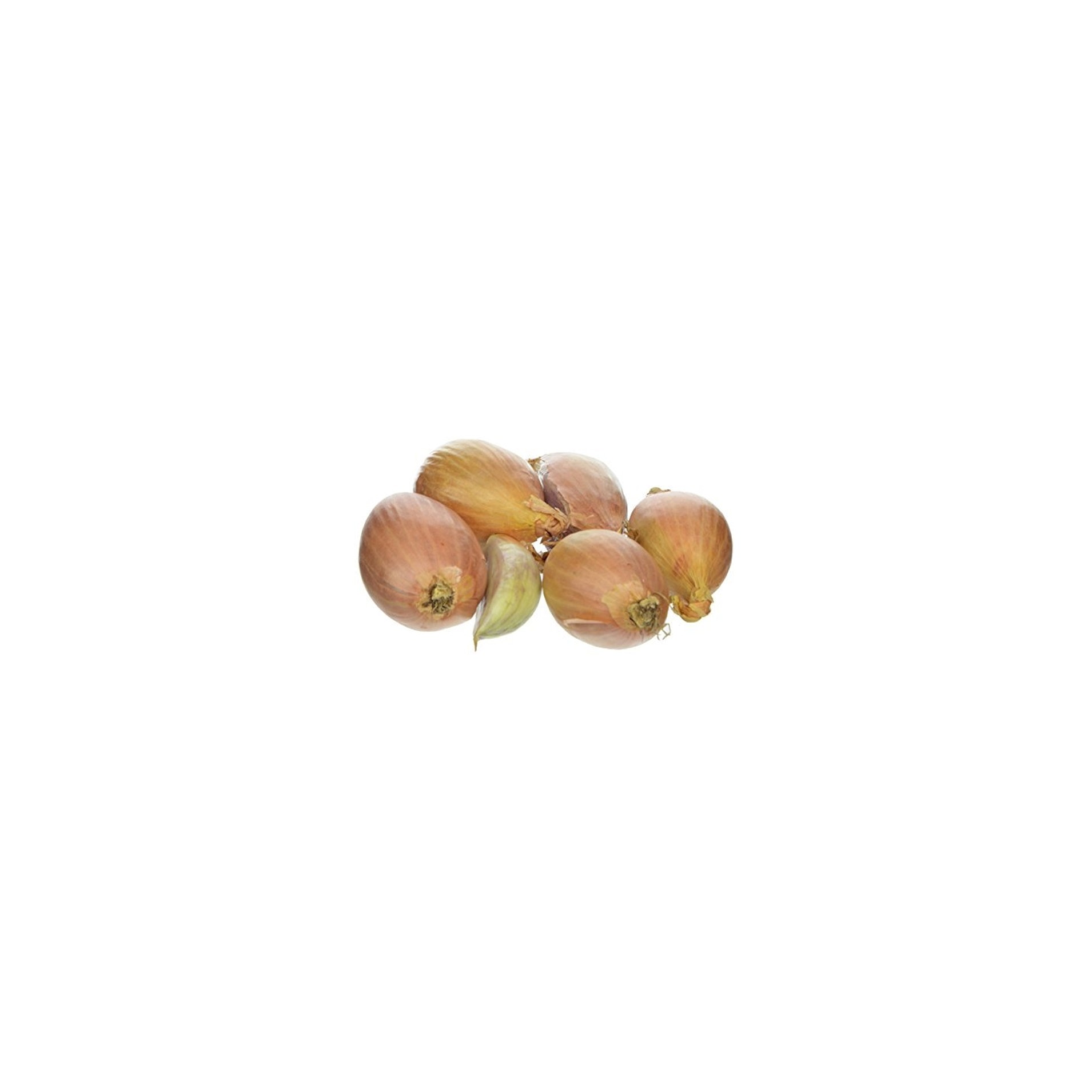 Shallot Onions 1 LBS