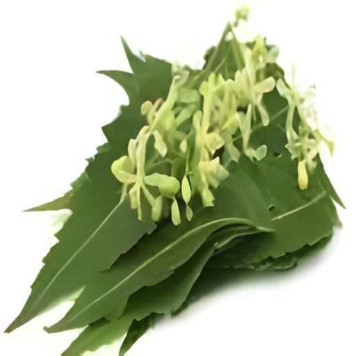 NEEM FLOWER 1 LBS