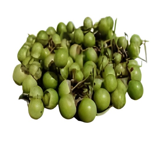 Gunda 1 LBS