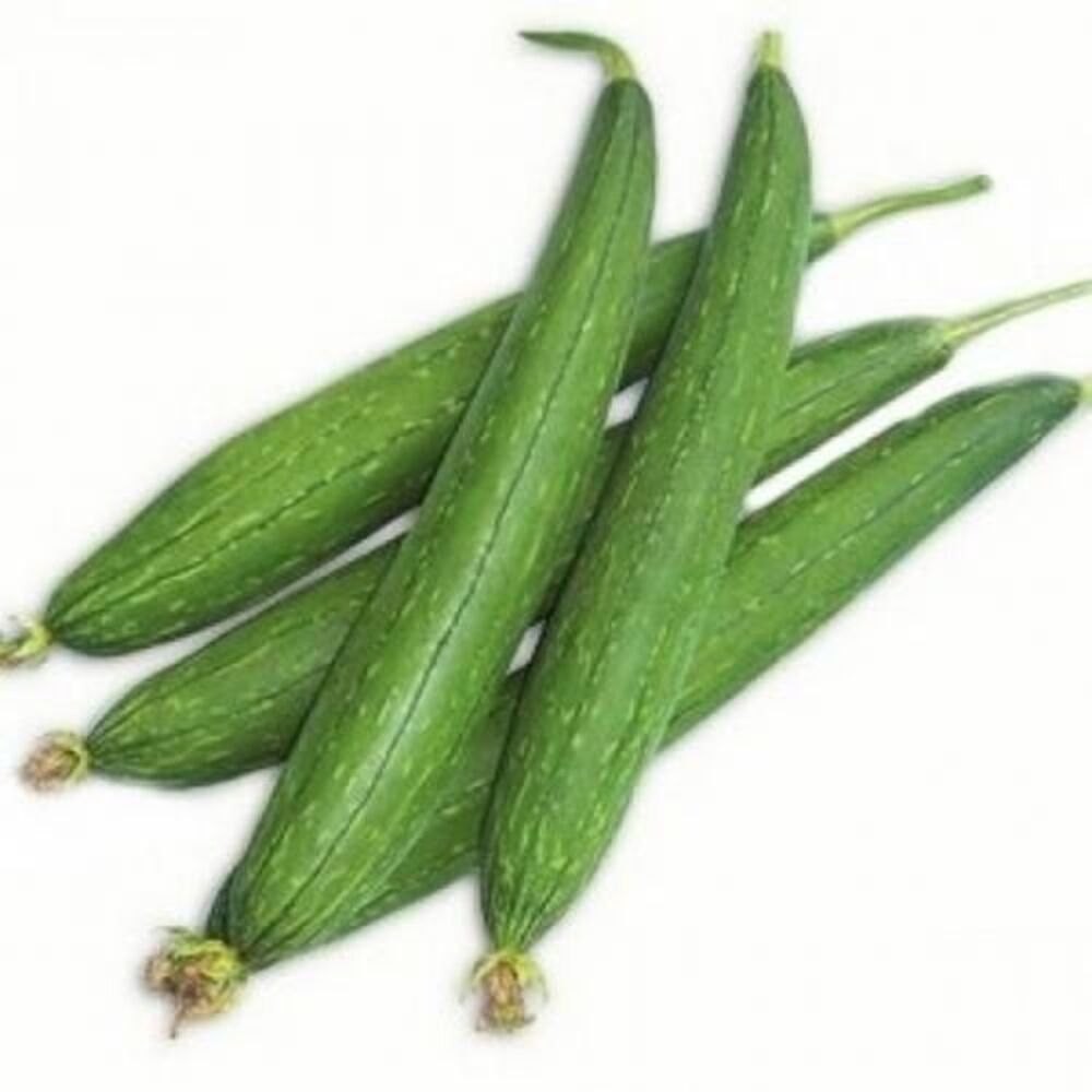 GALKA 1 LBS