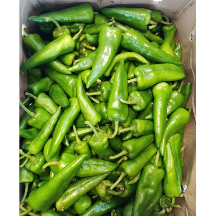 Pakora Chilli 1 LBS