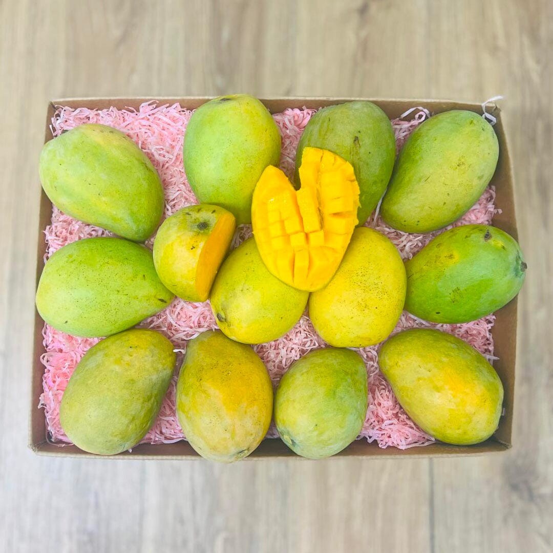 MINGOLO MANGO BOX 1 CASE