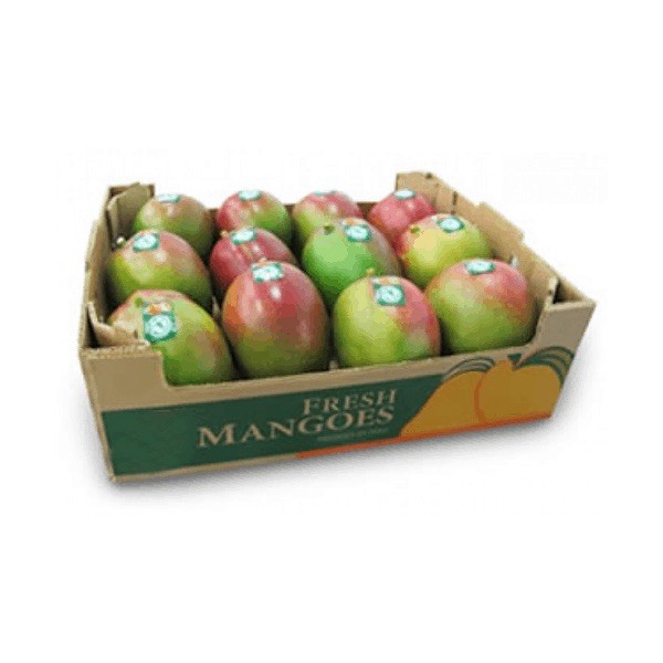 KENT MANGO (BOX) 1 CASE