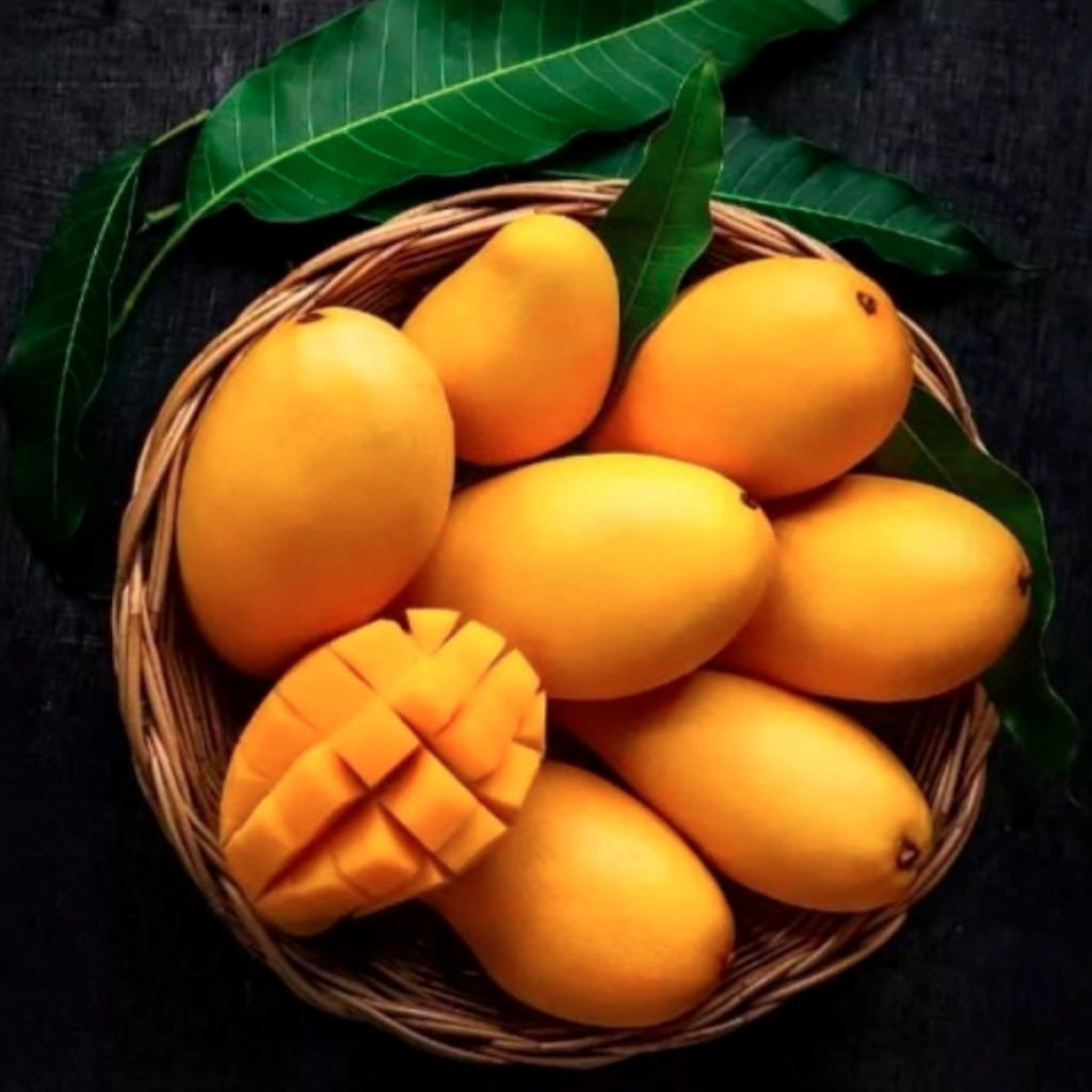 KESAR INDIAN MANGO 1 LBS
