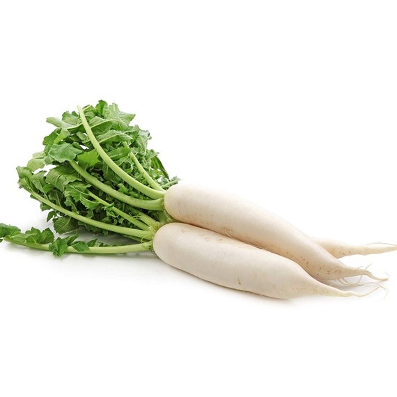 Daikon / Radish