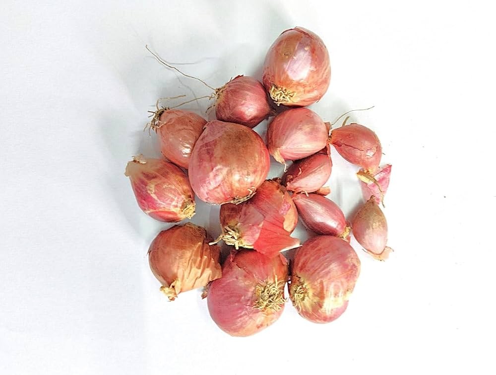 SHALLOT ONIONS 1 LBS