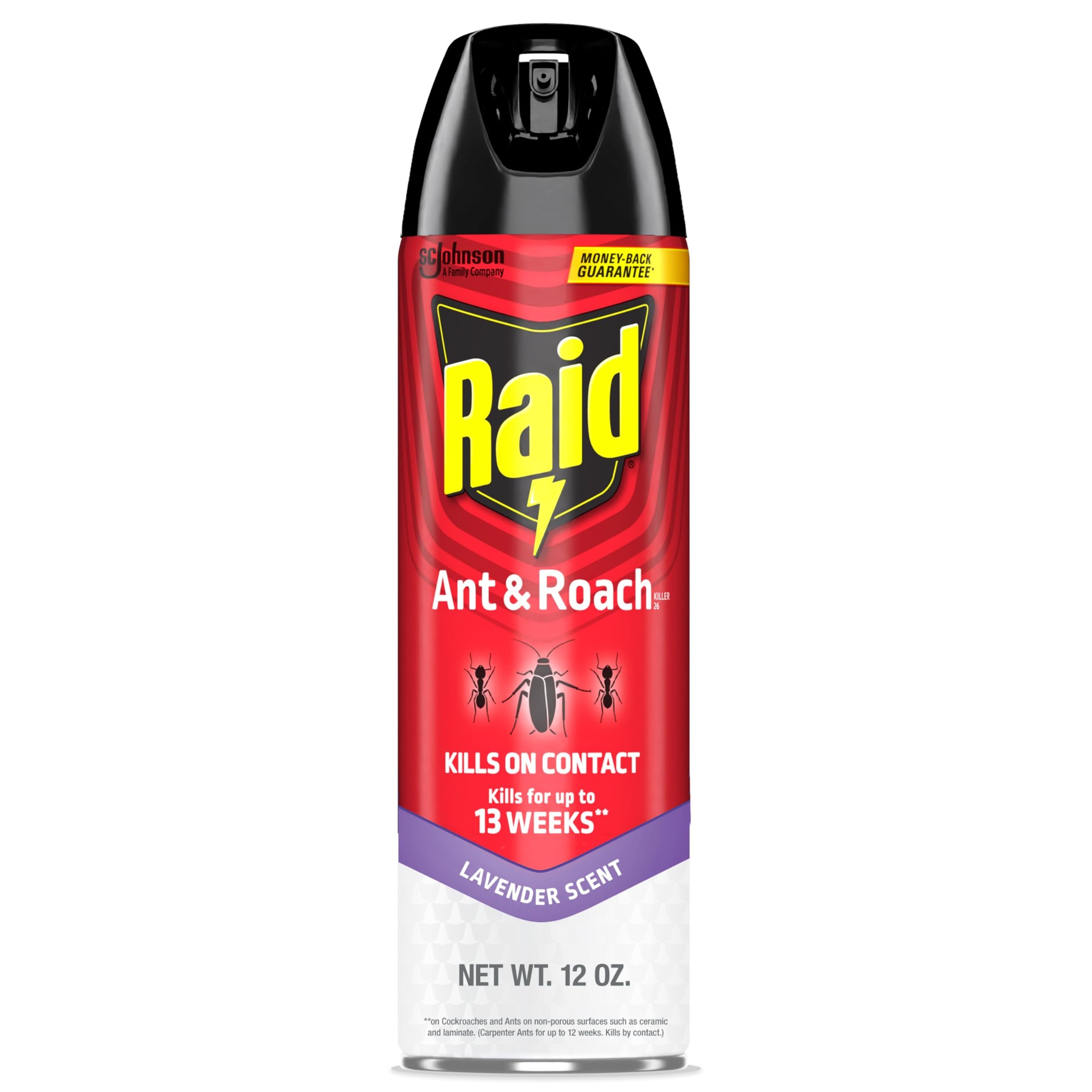 RAID ANT & ROACH 17.5 OZ