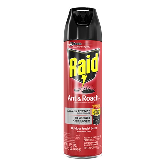 RAID ANT & ROACH 496 GM