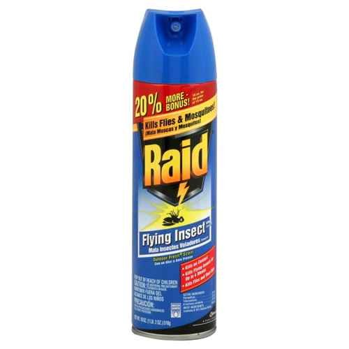 Raid Regular 1 EACH