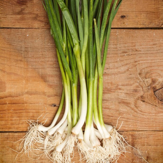 GREEN GARLIC 2 EACH