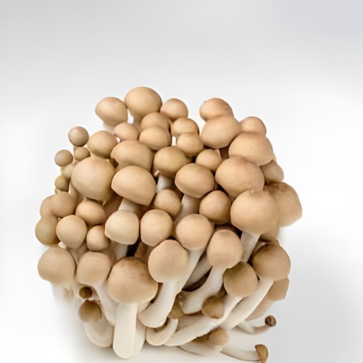 MUSHROOM BROWN BEACH 150 GM