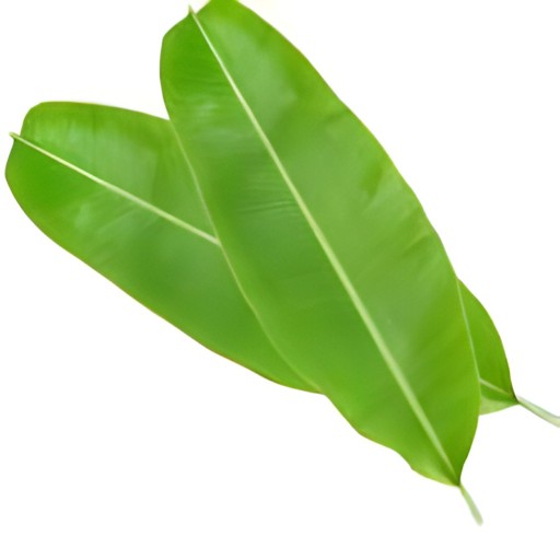 BANANA LEAVES 1 BUNCH