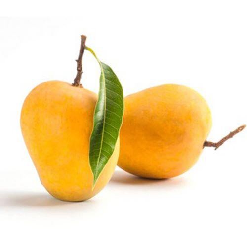 KESAR MANGOES BOX 1 EACH