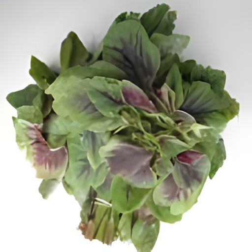 Red Choy (Amaranth)