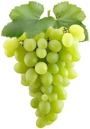 Grapes Green 1 LBS