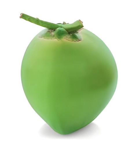 COCONUT GREEN 1 LBS