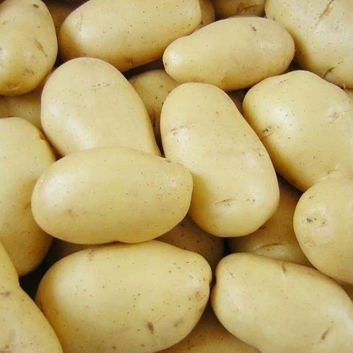 POTATO WHITE 10 LBS