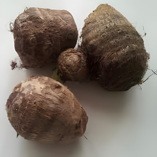 EDO (ARVI) 1 LBS