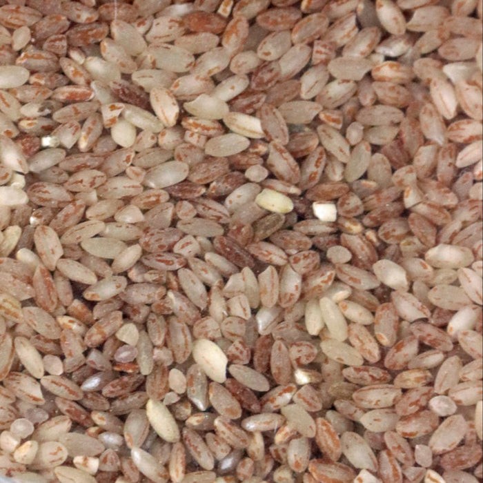 Red Keeri Samba  Rice 10 LBS