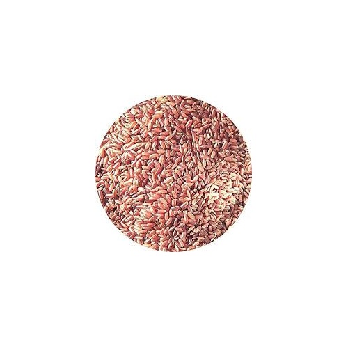 Red Rar Samba Rice 10 LBS
