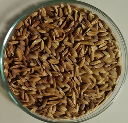 Pachchaperumal Rice 5 LBS