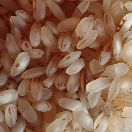IS MOTTAKARUPPAN RICE 5 LBS