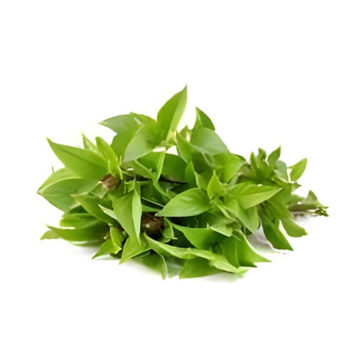 BASIL LEAVE