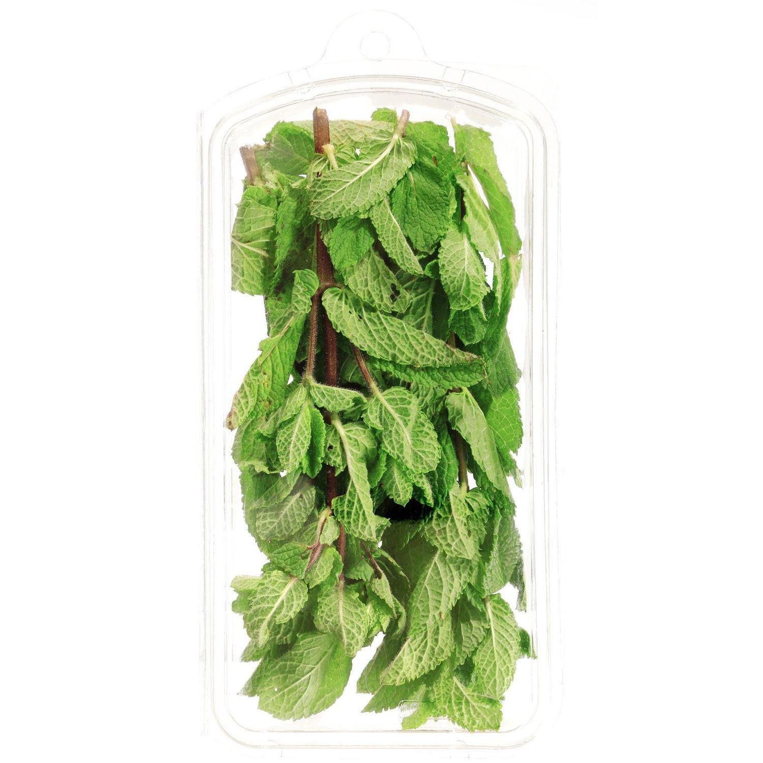 Mint Leaves