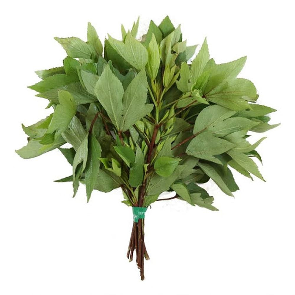 GANGURA LEAVES 1 EACH