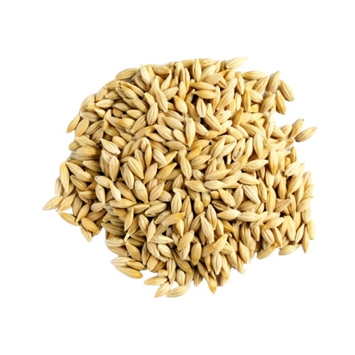 Jau  100 GM