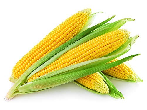 Fresh Corn 1 LBS