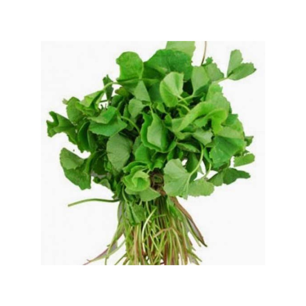TANDALJA BHAJI 1 BUNCH