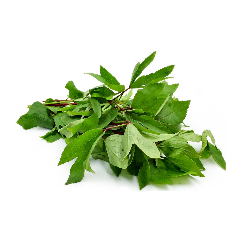 GONGURA GREEN LEAF 1 BUNCH