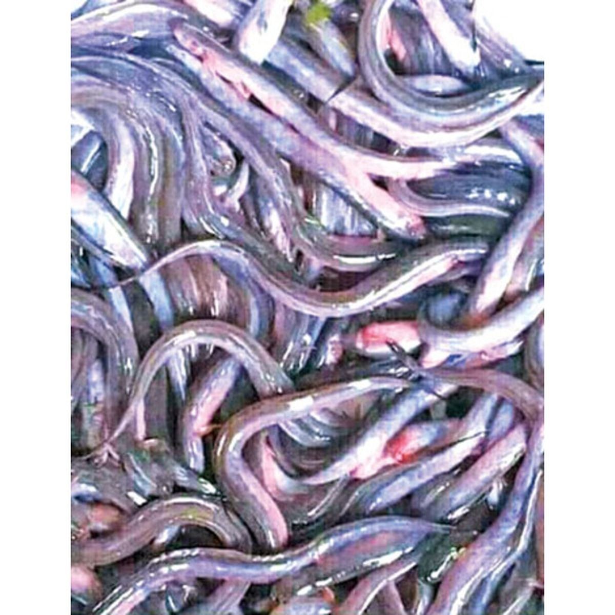 Chewa Fish 1 LBS