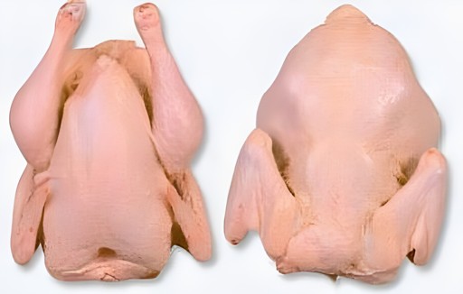 Regular Chicken 1 LBS